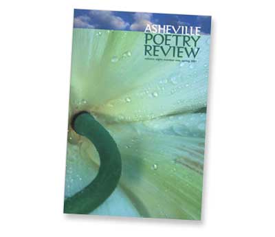 Issue 11 Issue 11