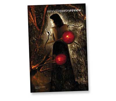 Issue 13 Issue 13